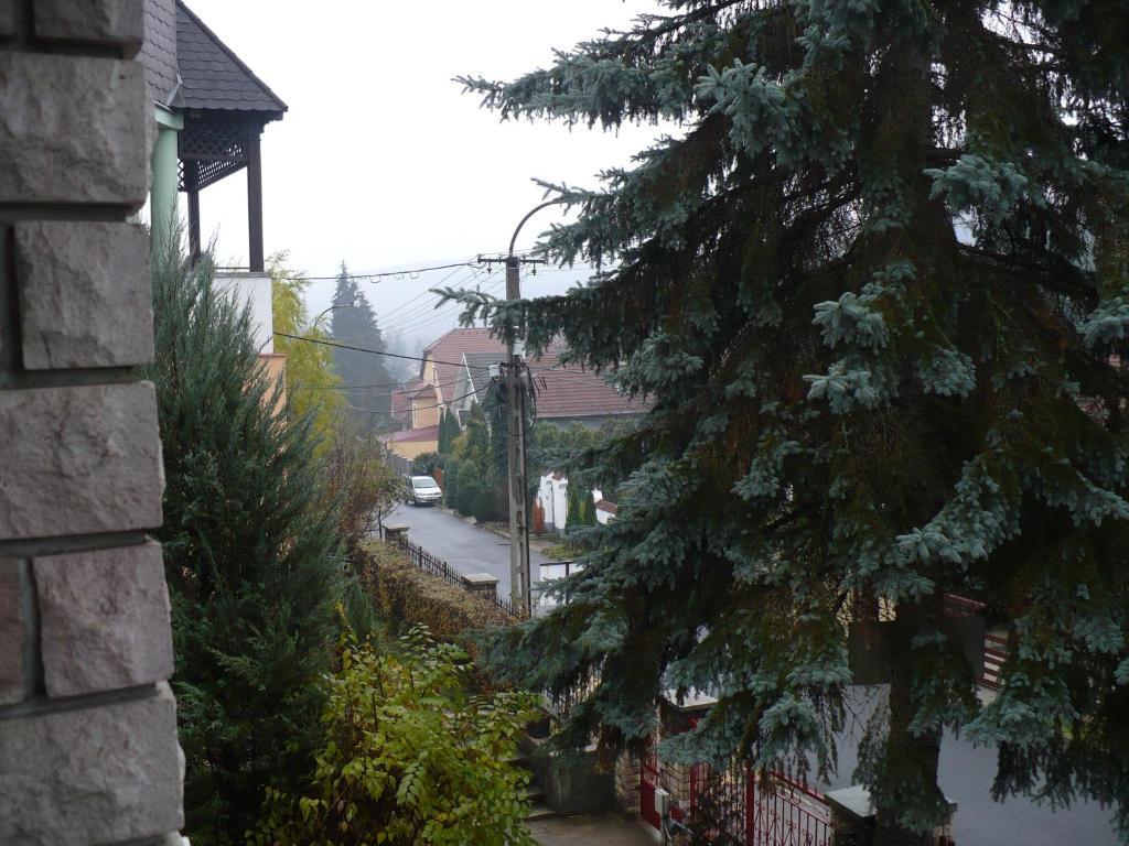 Kitty Apartman Miskolc Dış mekan fotoğraf
