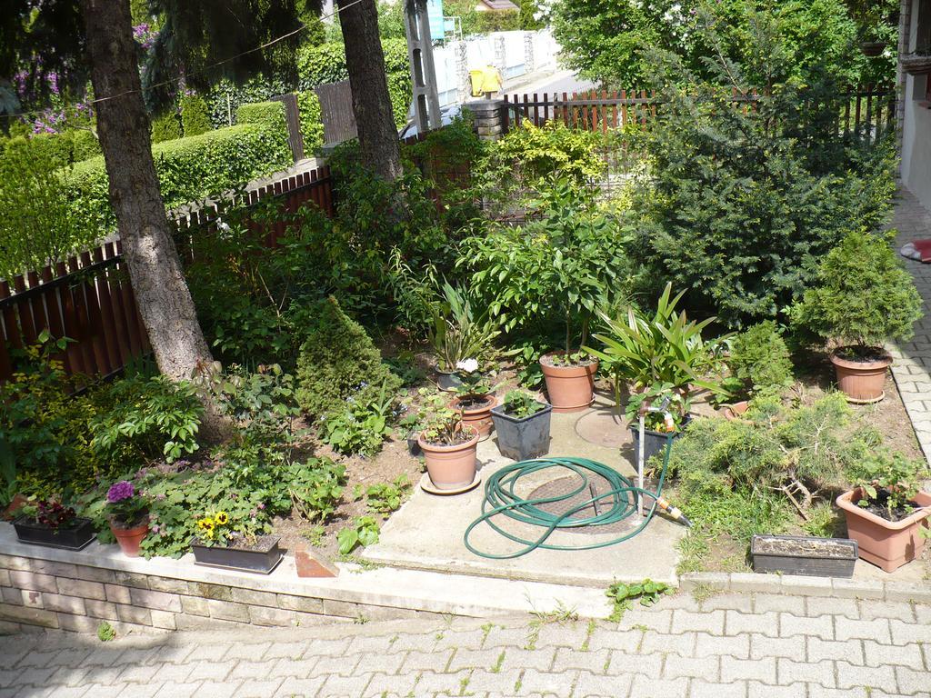 Kitty Apartman Daire Miskolc Dış mekan fotoğraf